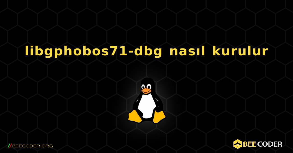 libgphobos71-dbg  nasıl kurulur. Linux