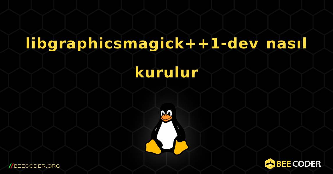 libgraphicsmagick++1-dev  nasıl kurulur. Linux