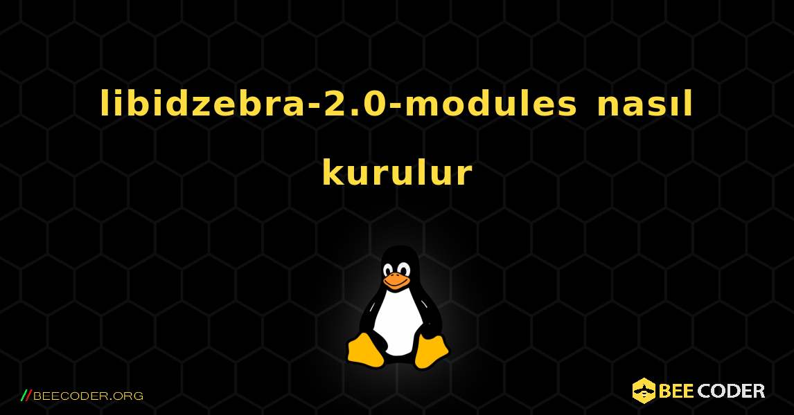 libidzebra-2.0-modules  nasıl kurulur. Linux