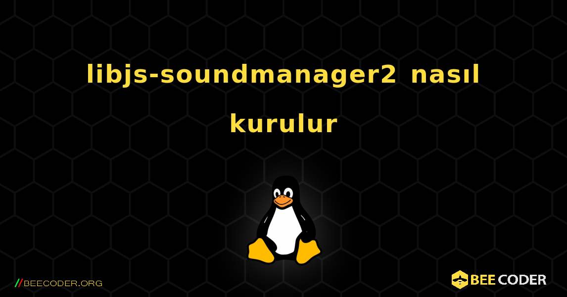 libjs-soundmanager2  nasıl kurulur. Linux