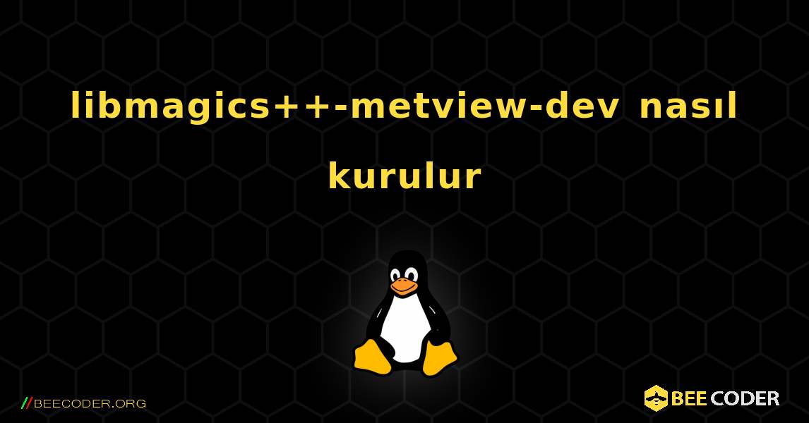 libmagics++-metview-dev  nasıl kurulur. Linux