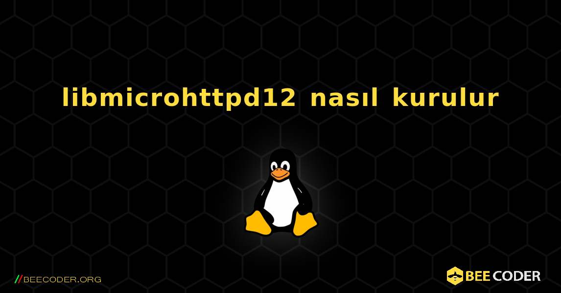 libmicrohttpd12  nasıl kurulur. Linux