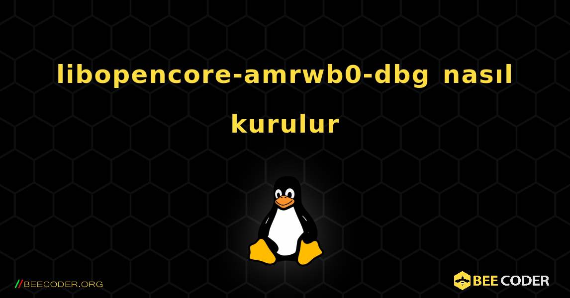 libopencore-amrwb0-dbg  nasıl kurulur. Linux