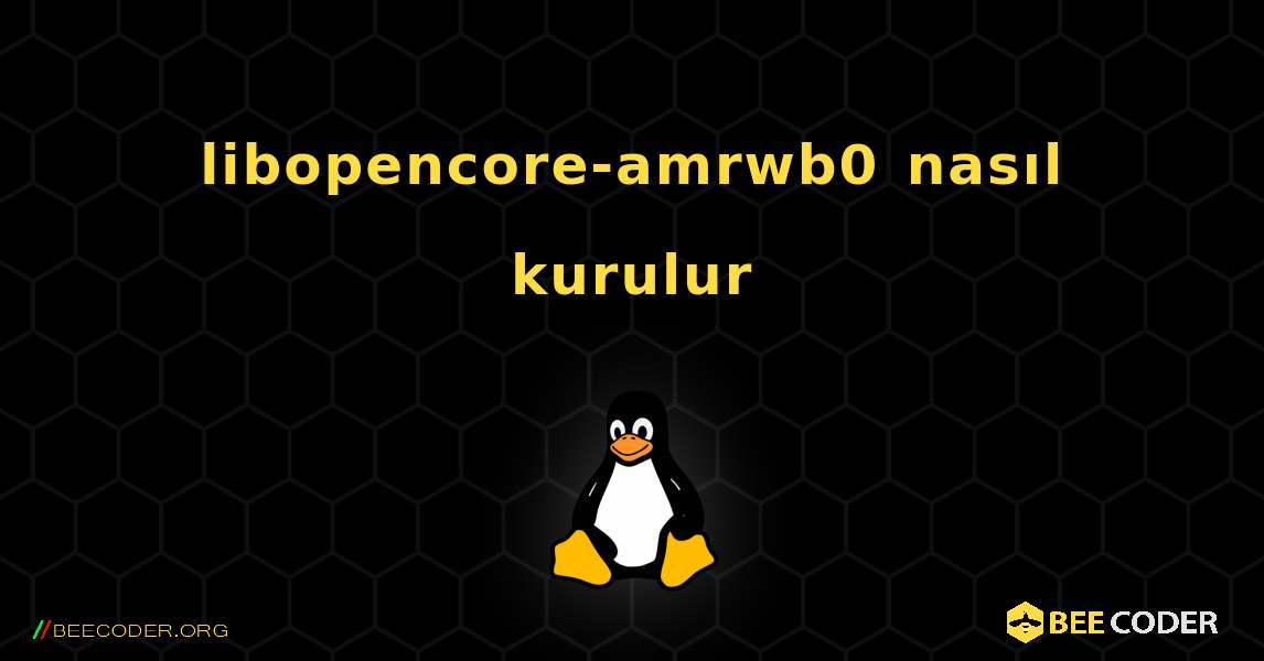 libopencore-amrwb0  nasıl kurulur. Linux