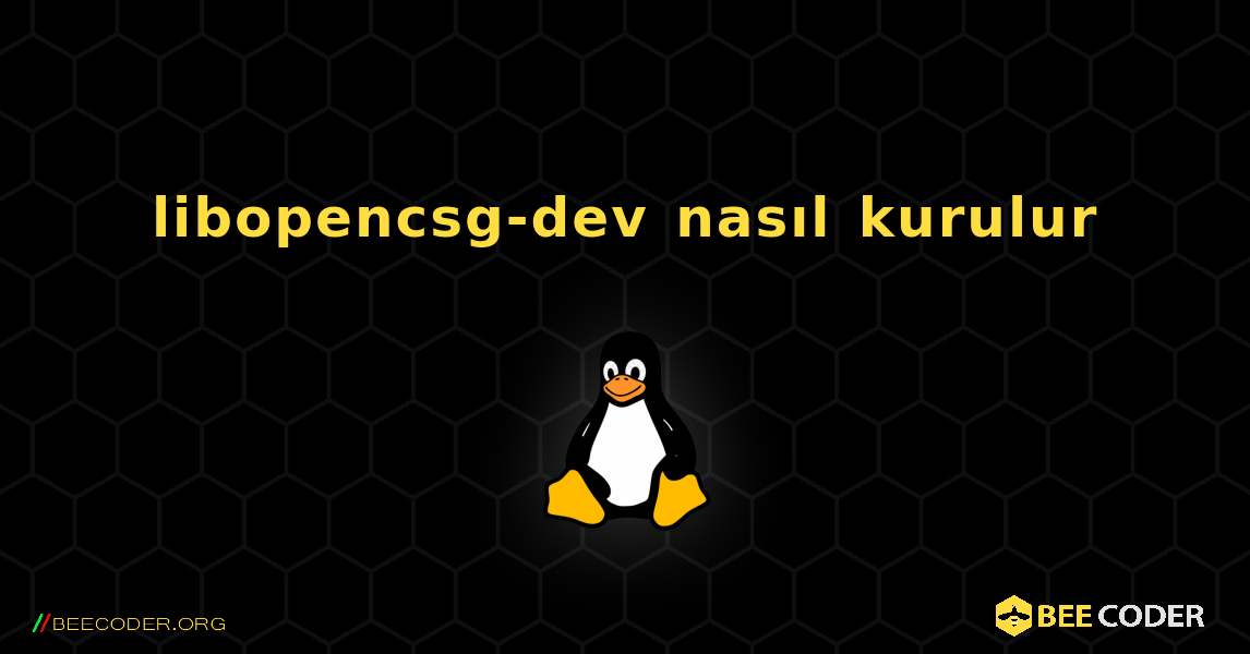 libopencsg-dev  nasıl kurulur. Linux
