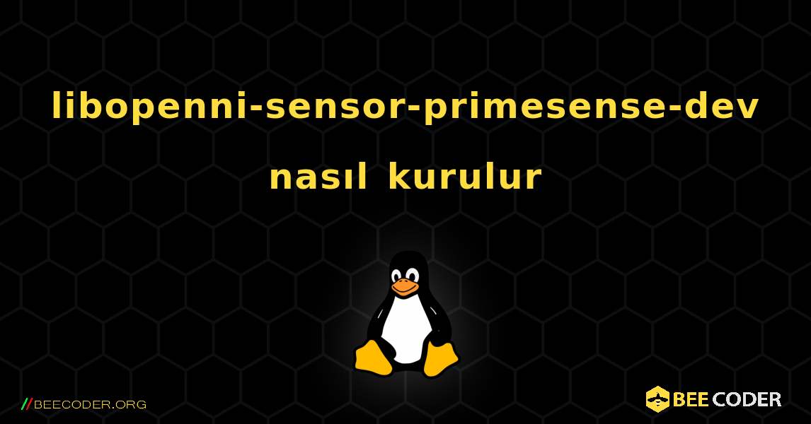 libopenni-sensor-primesense-dev  nasıl kurulur. Linux