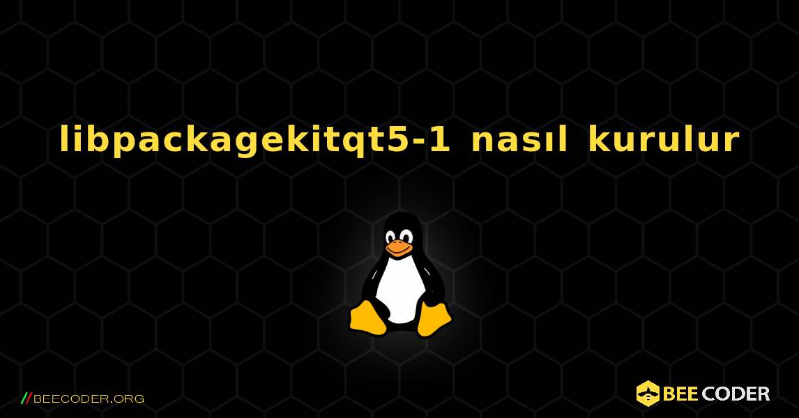 libpackagekitqt5-1  nasıl kurulur. Linux