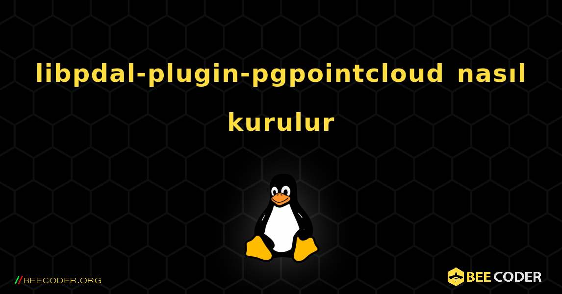 libpdal-plugin-pgpointcloud  nasıl kurulur. Linux