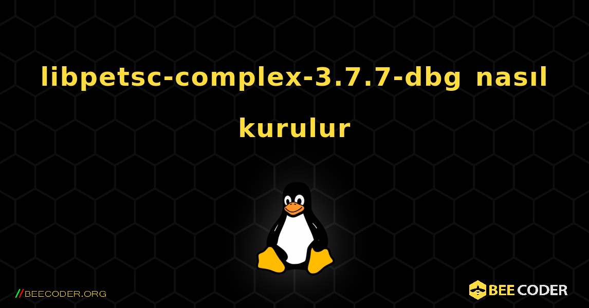 libpetsc-complex-3.7.7-dbg  nasıl kurulur. Linux