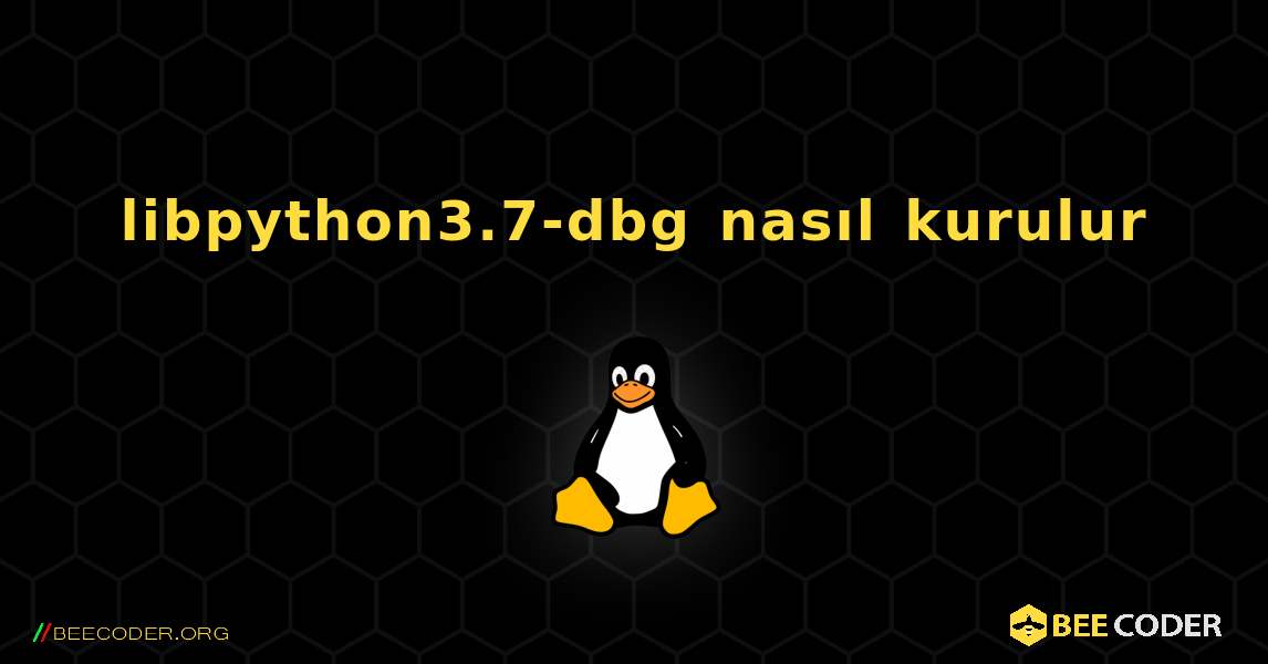libpython3.7-dbg  nasıl kurulur. Linux