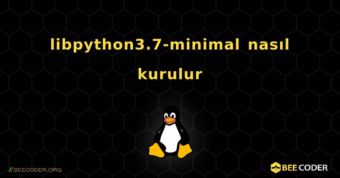libpython3.7-minimal  nasıl kurulur. Linux