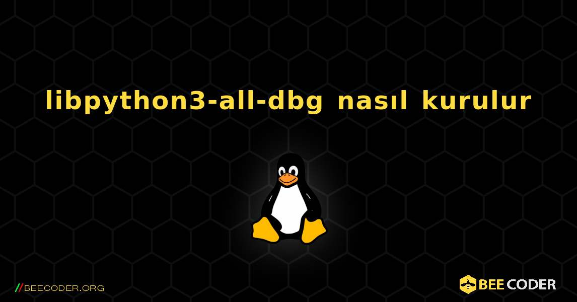 libpython3-all-dbg  nasıl kurulur. Linux