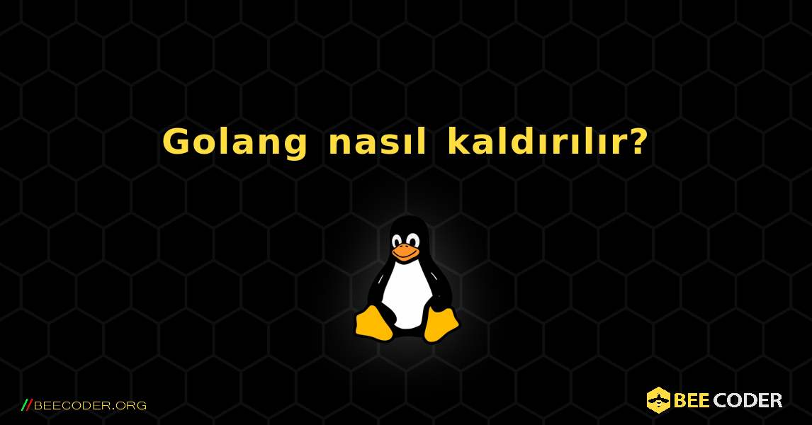 Golang nasıl kaldırılır?. Linux