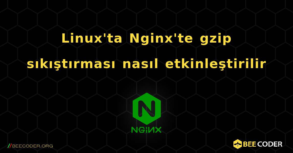 Linux'ta Nginx'te gzip sıkıştırması nasıl etkinleştirilir. NGINX