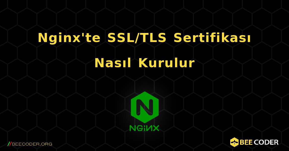Nginx'te SSL/TLS Sertifikası Nasıl Kurulur. NGINX