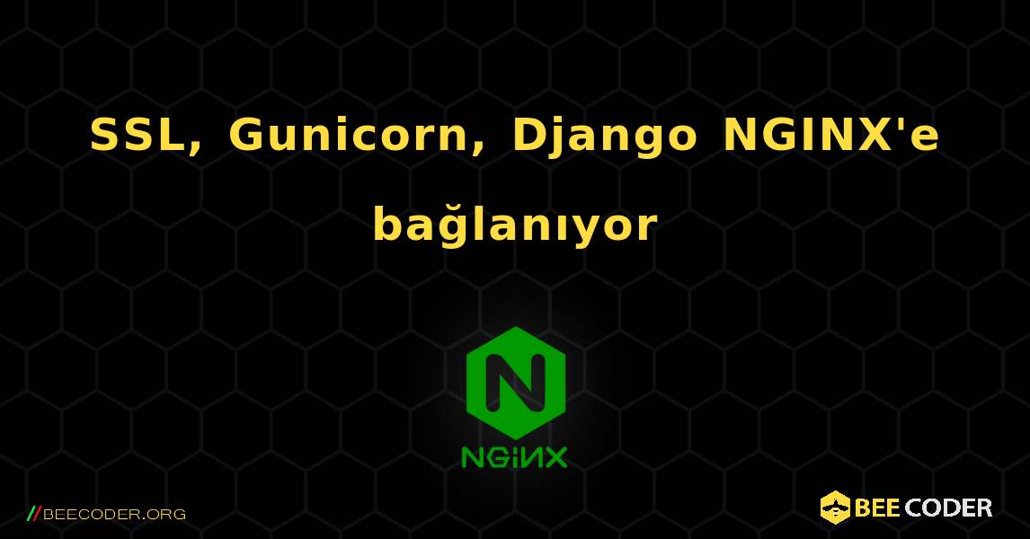 SSL, Gunicorn, Django NGINX'e bağlanıyor. NGINX