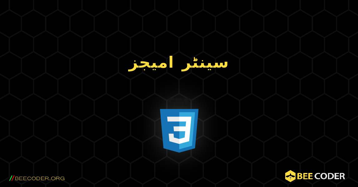 سینٹر امیجز. CSS