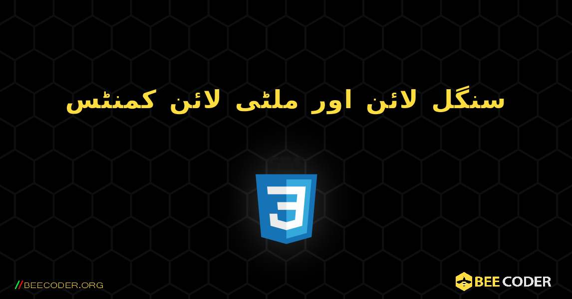 سنگل لائن اور ملٹی لائن کمنٹس. CSS