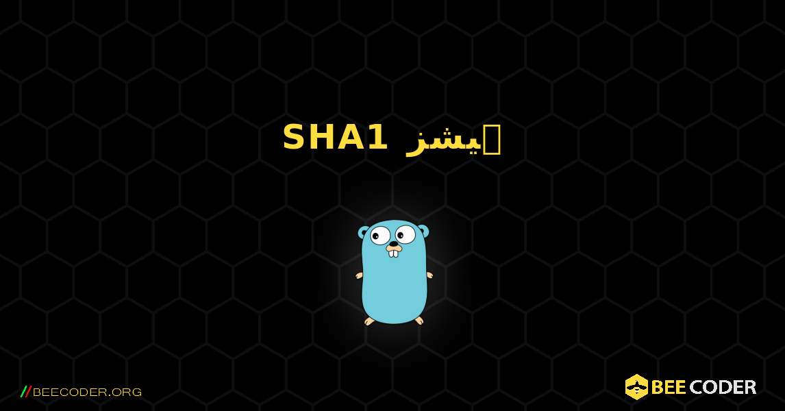 SHA1 ہیشز. GoLang