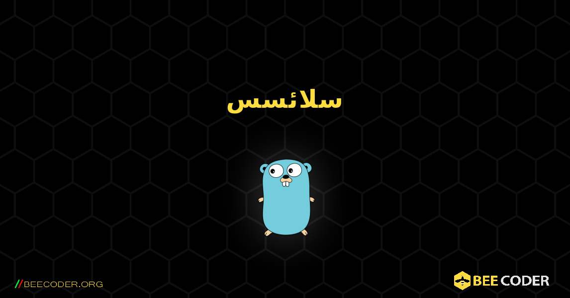 سلائسس. GoLang