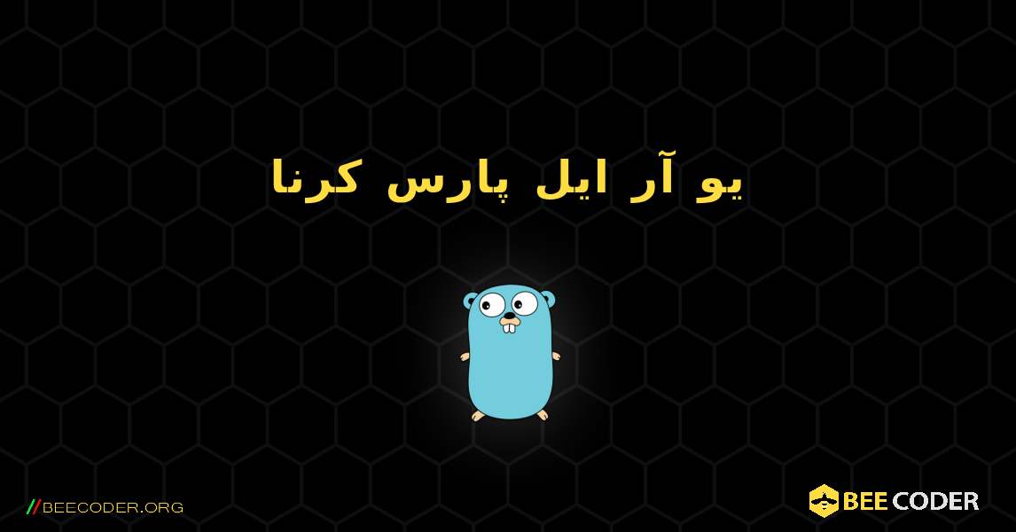 یو آر ایل پارس کرنا. GoLang