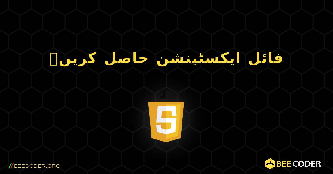 فائل ایکسٹینشن حاصل کریں۔. JavaScript