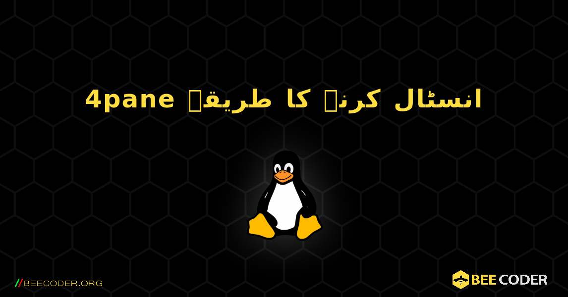 4pane  انسٹال کرنے کا طریقہ. Linux