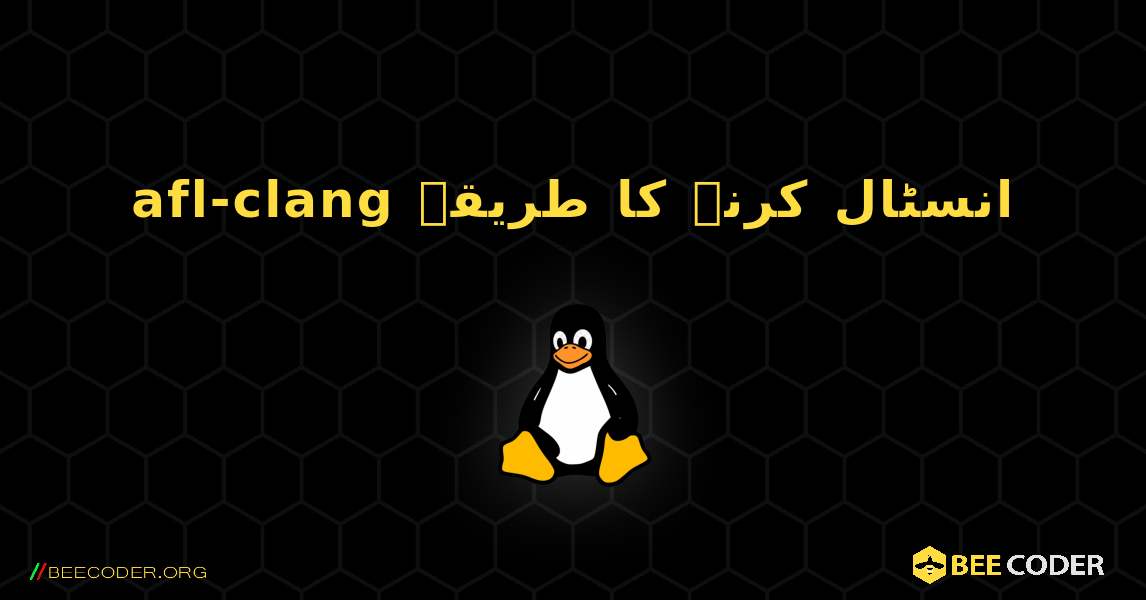 afl-clang  انسٹال کرنے کا طریقہ. Linux