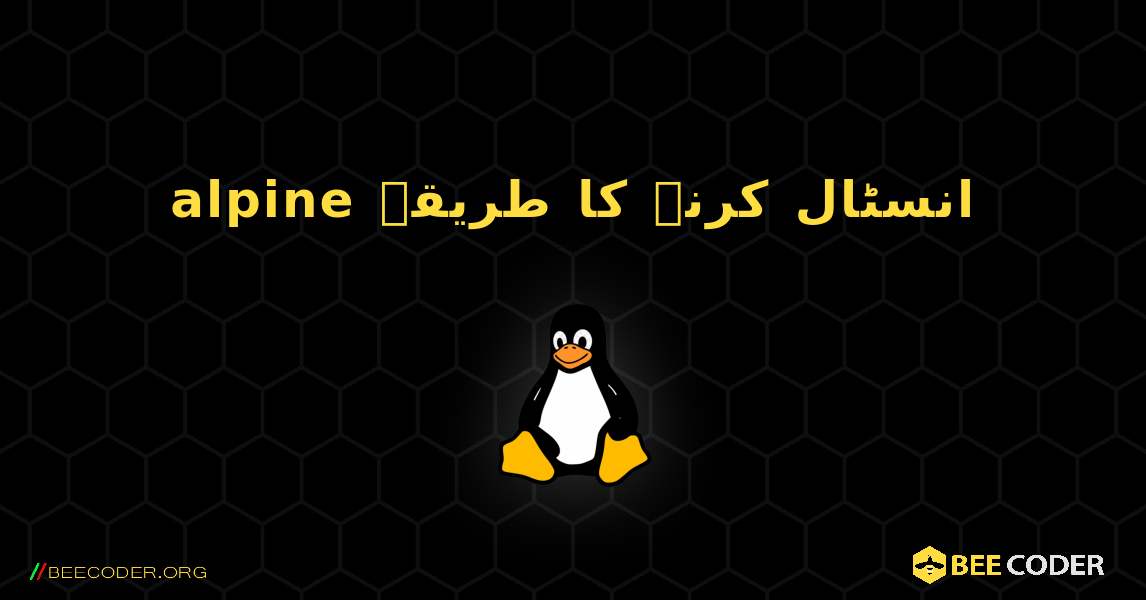 alpine  انسٹال کرنے کا طریقہ. Linux