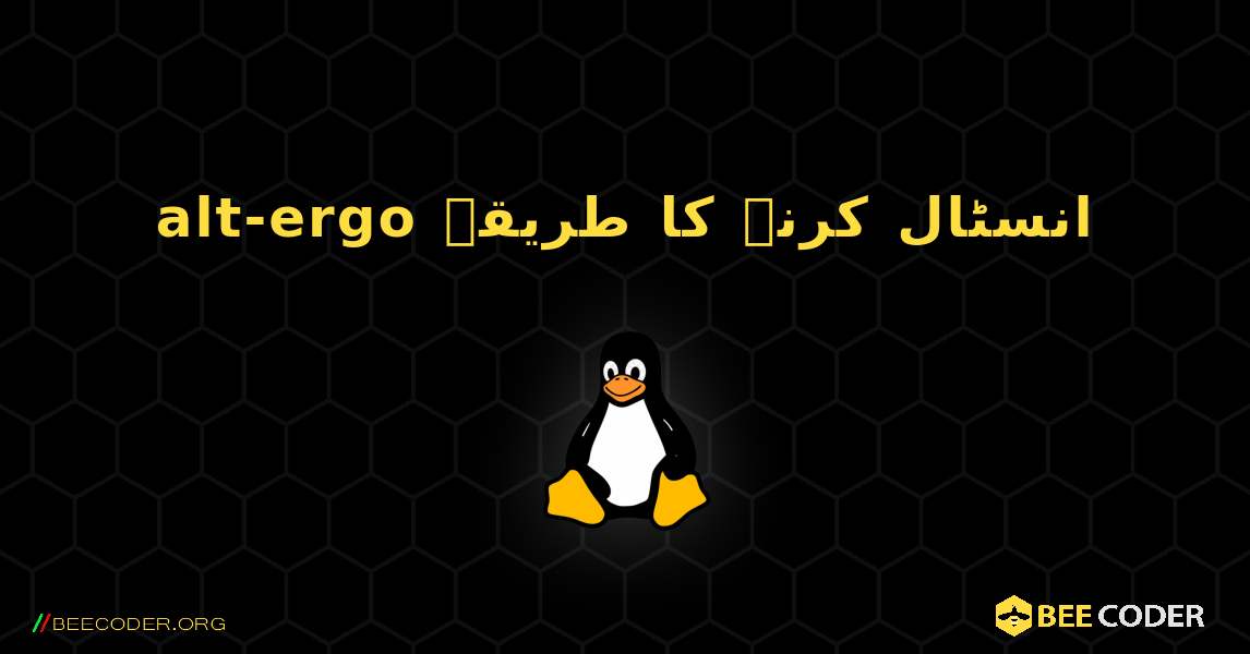 alt-ergo  انسٹال کرنے کا طریقہ. Linux