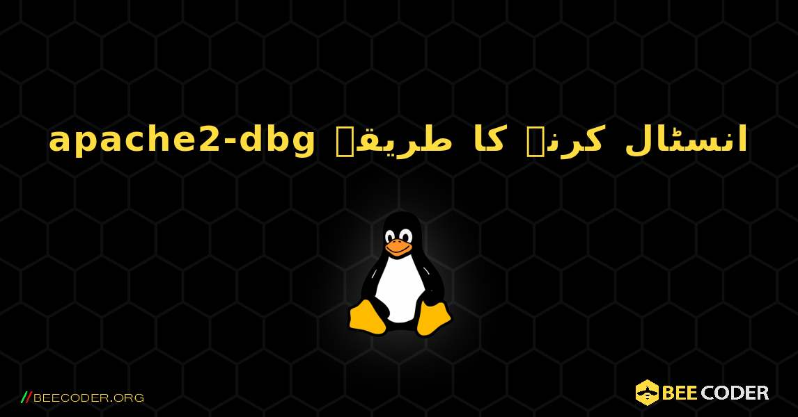 apache2-dbg  انسٹال کرنے کا طریقہ. Linux