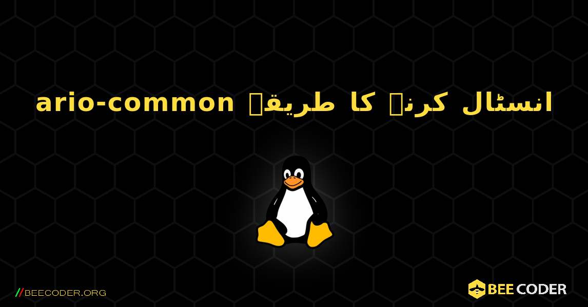 ario-common  انسٹال کرنے کا طریقہ. Linux