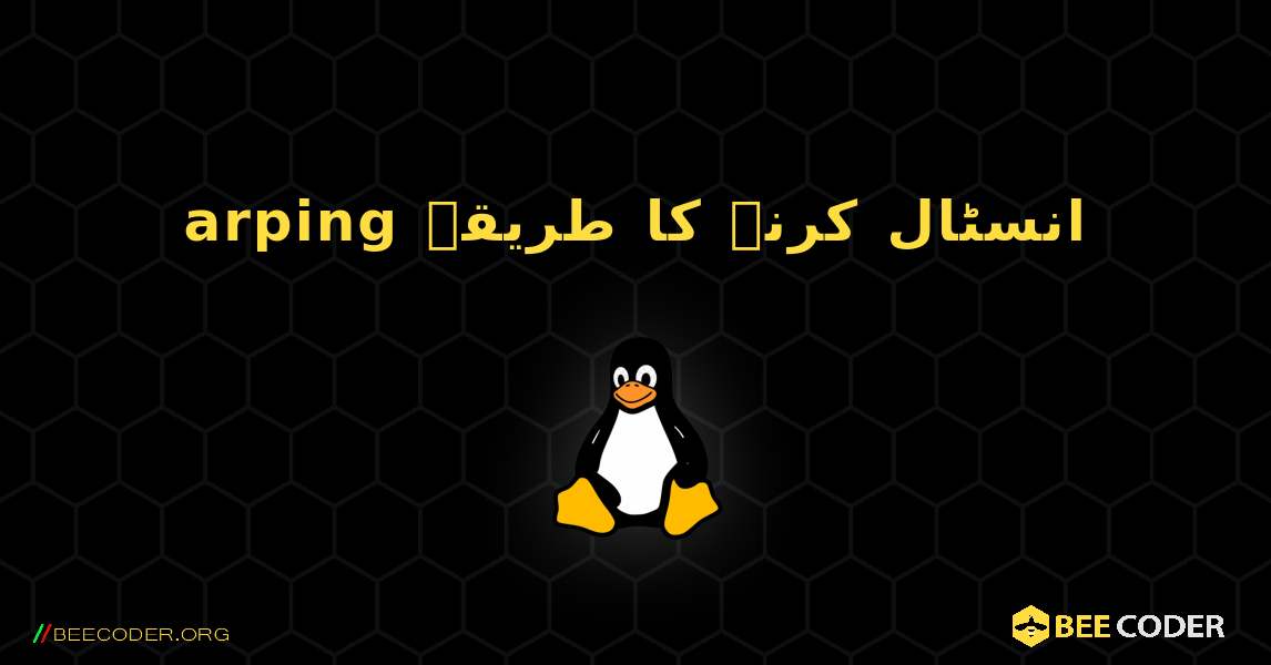arping  انسٹال کرنے کا طریقہ. Linux