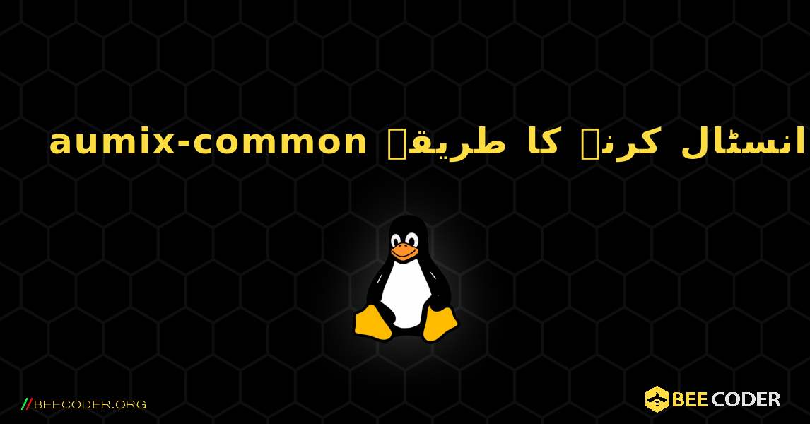 aumix-common  انسٹال کرنے کا طریقہ. Linux