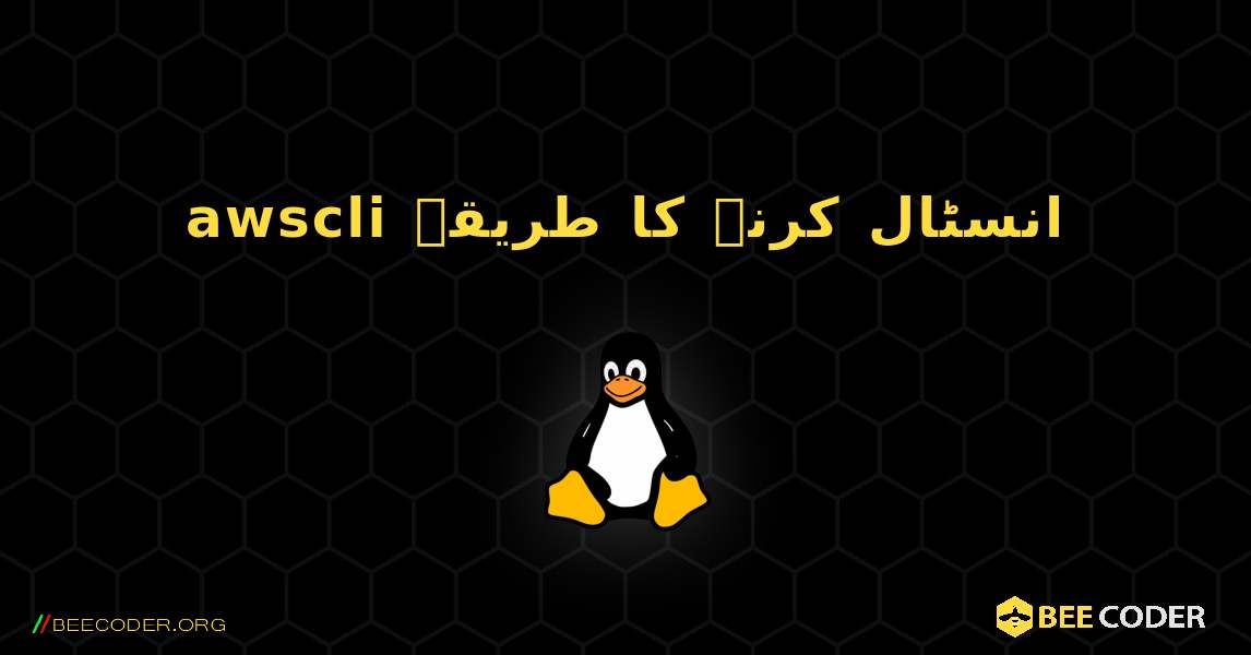 awscli  انسٹال کرنے کا طریقہ. Linux