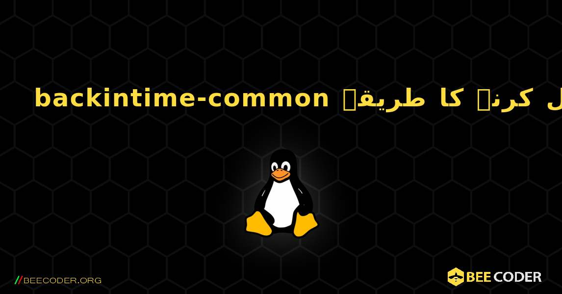 backintime-common  انسٹال کرنے کا طریقہ. Linux