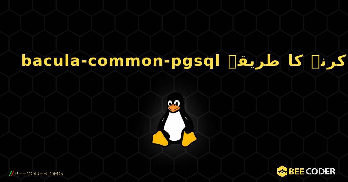 bacula-common-pgsql  انسٹال کرنے کا طریقہ. Linux