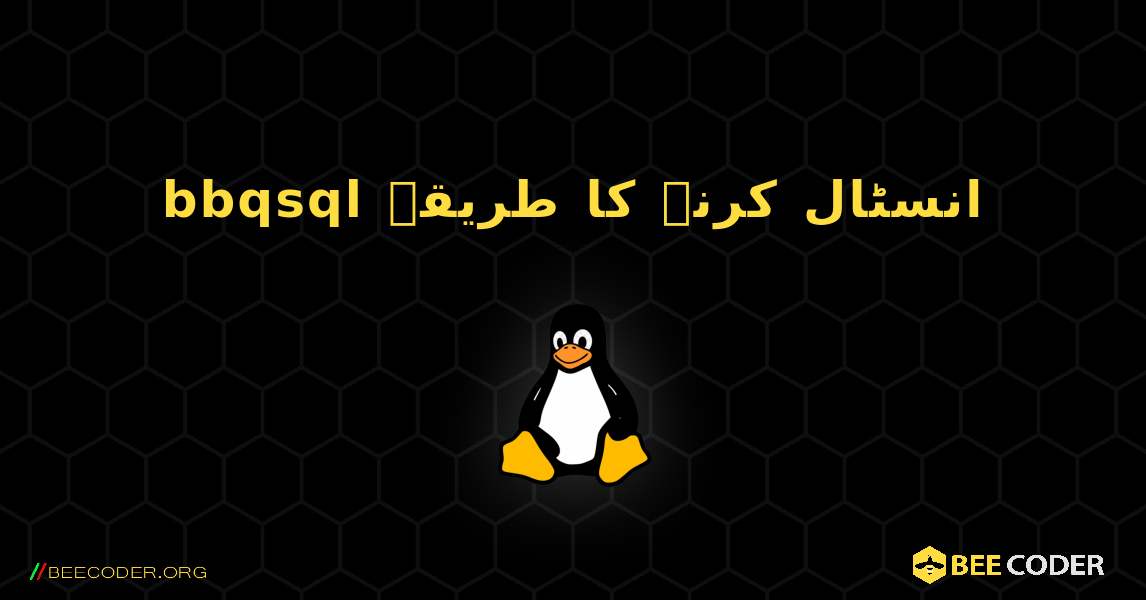 bbqsql  انسٹال کرنے کا طریقہ. Linux