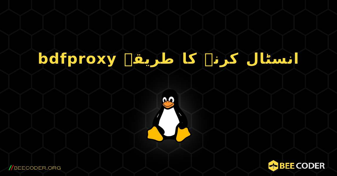 bdfproxy  انسٹال کرنے کا طریقہ. Linux