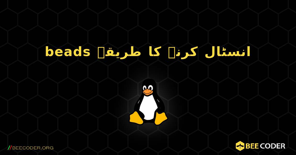 beads  انسٹال کرنے کا طریقہ. Linux