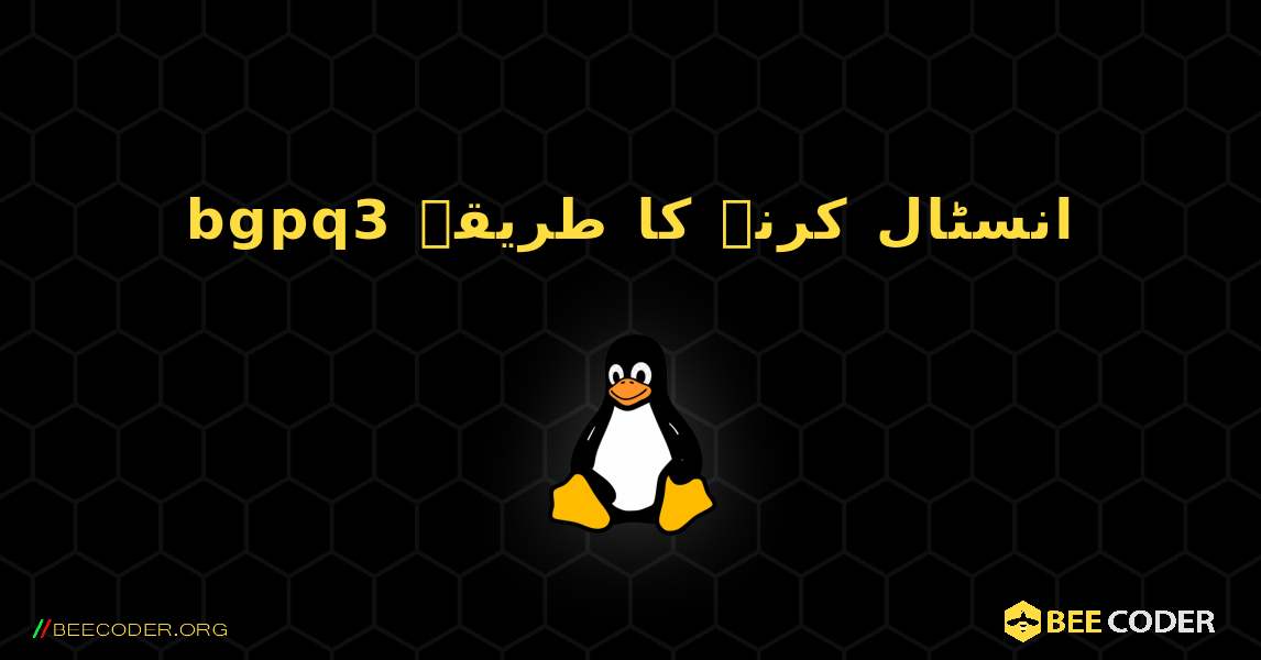 bgpq3  انسٹال کرنے کا طریقہ. Linux