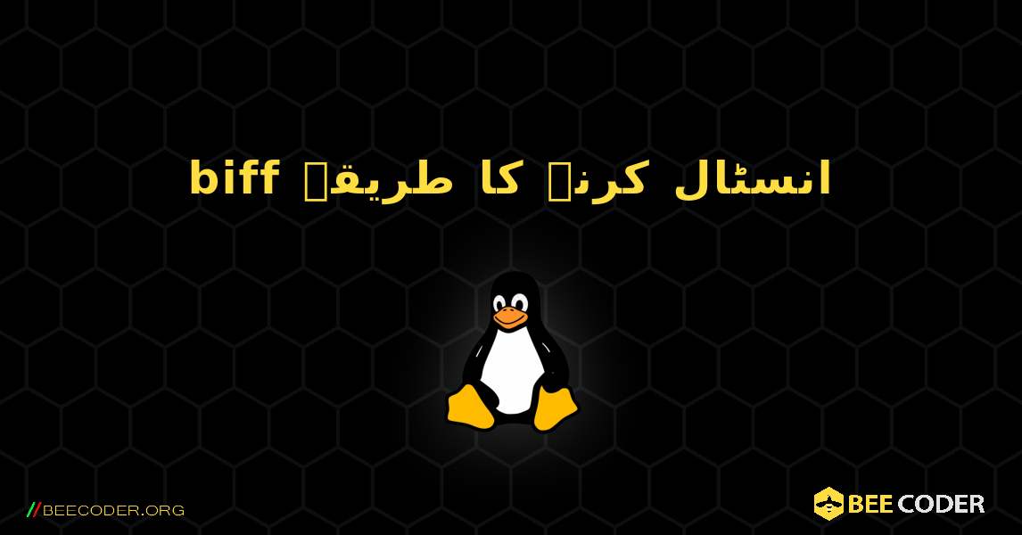 biff  انسٹال کرنے کا طریقہ. Linux