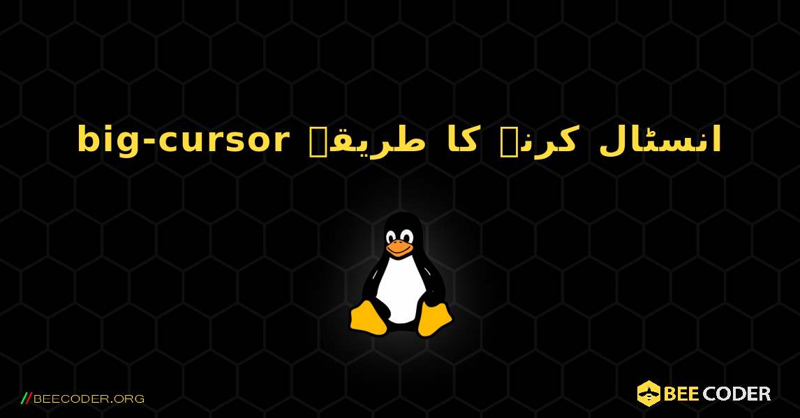 big-cursor  انسٹال کرنے کا طریقہ. Linux