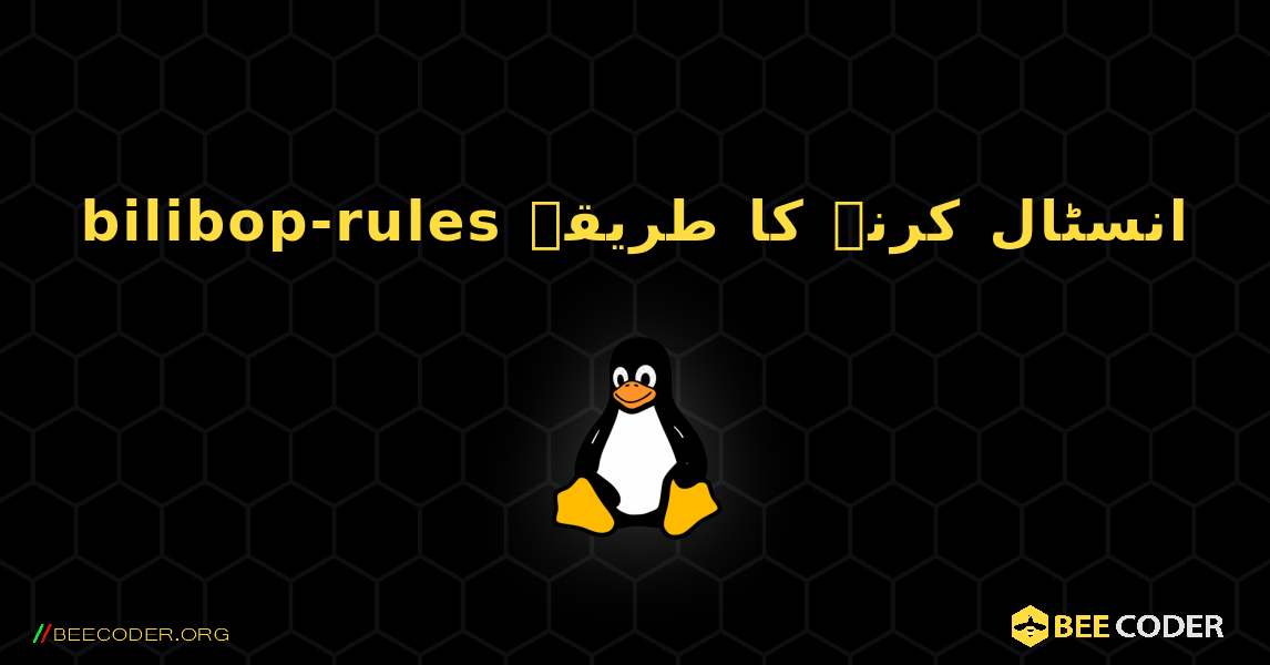 bilibop-rules  انسٹال کرنے کا طریقہ. Linux