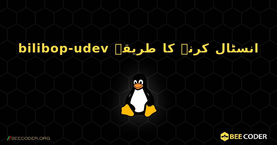 bilibop-udev  انسٹال کرنے کا طریقہ. Linux