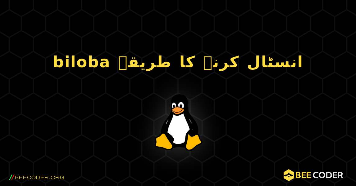 biloba  انسٹال کرنے کا طریقہ. Linux