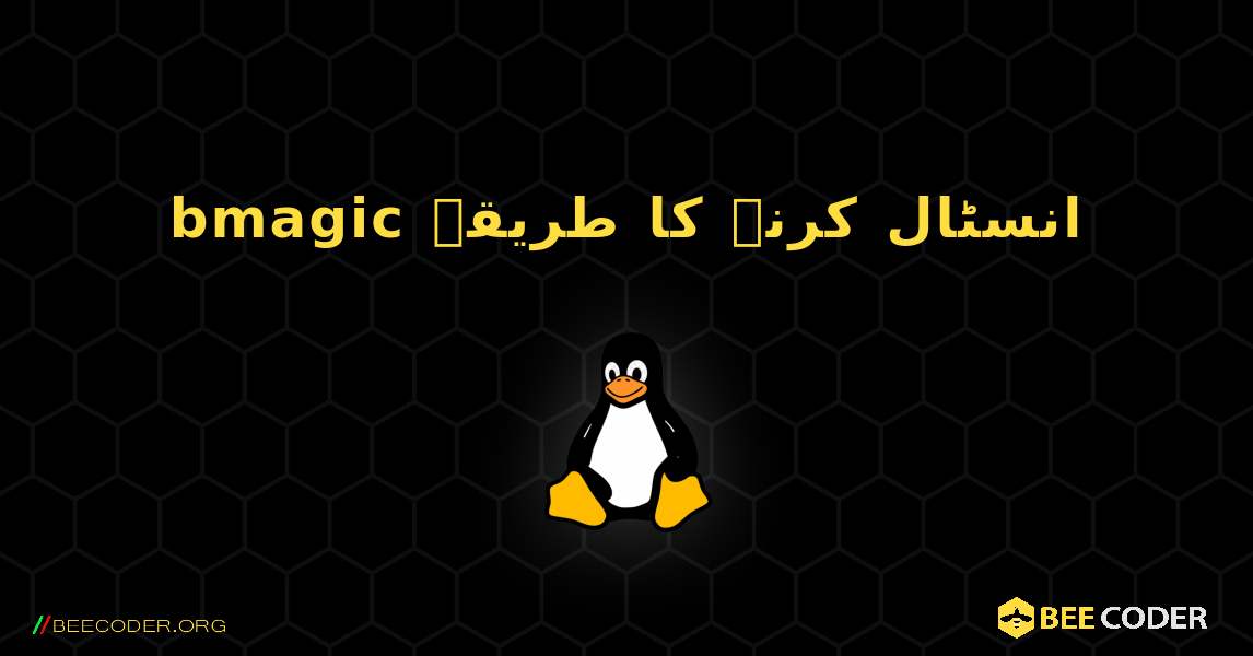 bmagic  انسٹال کرنے کا طریقہ. Linux