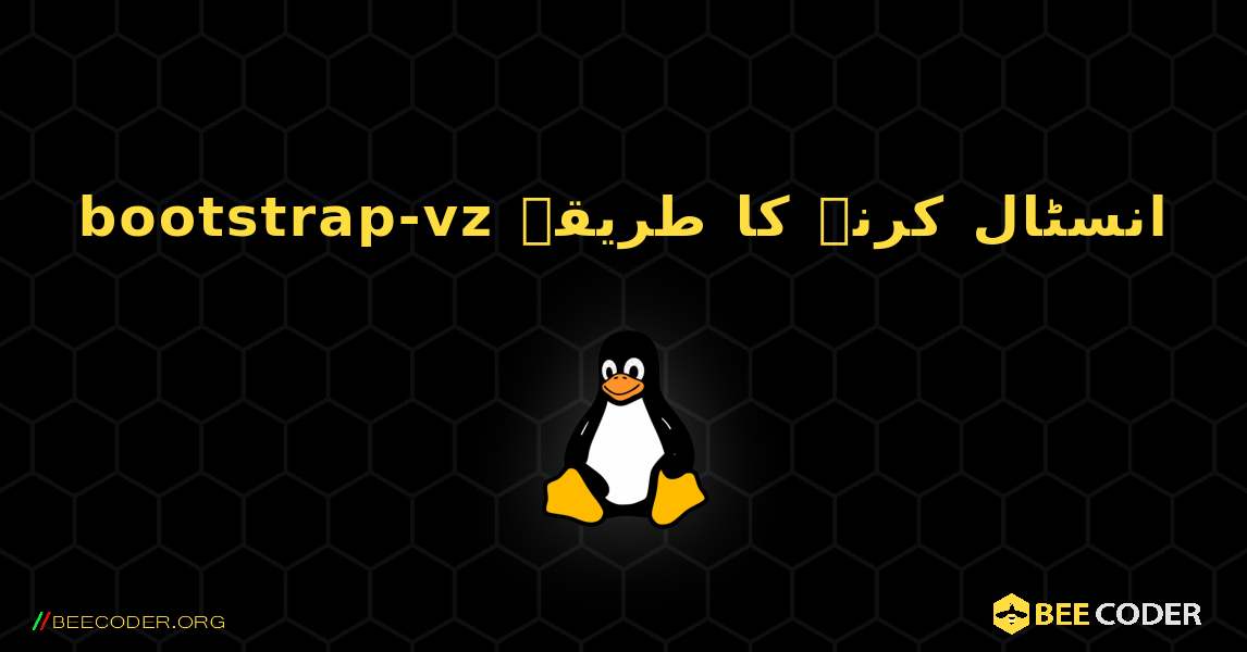 bootstrap-vz  انسٹال کرنے کا طریقہ. Linux