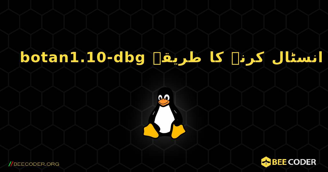botan1.10-dbg  انسٹال کرنے کا طریقہ. Linux