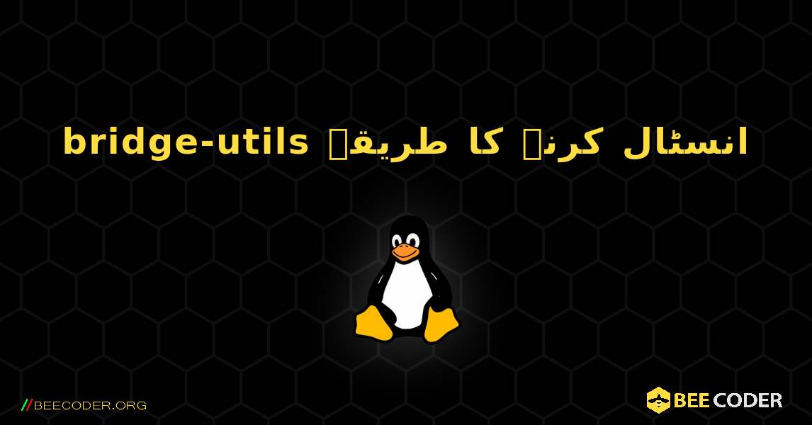 bridge-utils  انسٹال کرنے کا طریقہ. Linux